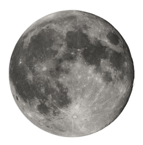 Sri Anik Misra — Vedic astrologer